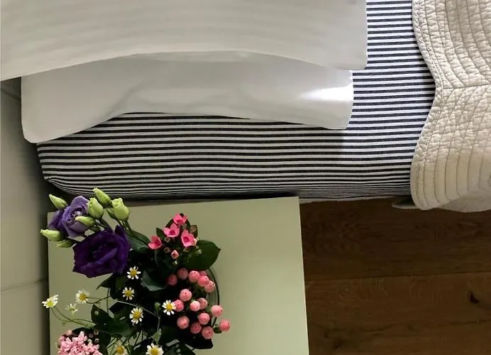 Bed & Breakfast Galerie Marianske Lazne